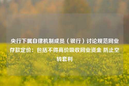 央行下属自律机制成员（银行）讨论规范同业存款定价：包括不得高价吸收同业资金 防止空转套利-第1张图片-贸易