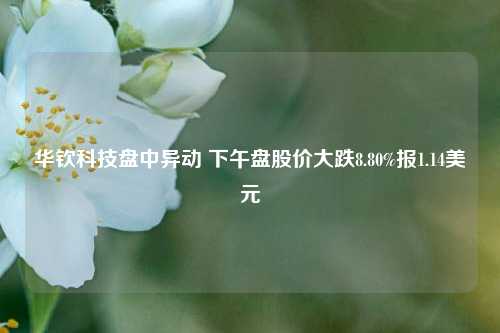 华钦科技盘中异动 下午盘股价大跌8.80%报1.14美元-第1张图片-贸易