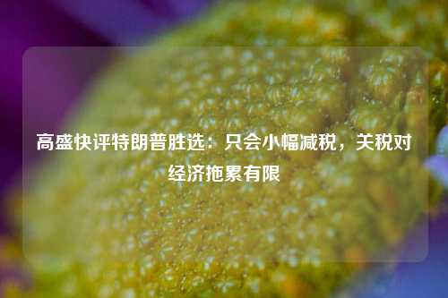 高盛快评特朗普胜选：只会小幅减税，关税对经济拖累有限-第1张图片-贸易