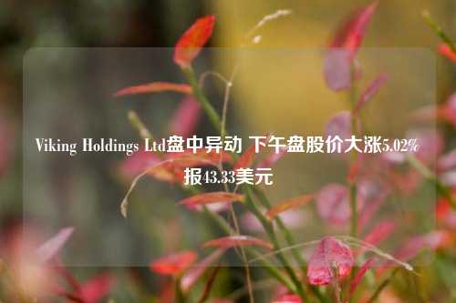 Viking Holdings Ltd盘中异动 下午盘股价大涨5.02%报43.33美元-第1张图片-贸易