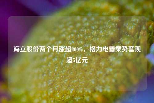 海立股份两个月涨超200%，格力电器乘势套现超5亿元-第1张图片-贸易