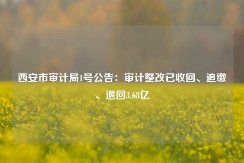 西安市审计局1号公告：审计整改已收回、追缴、退回3.68亿-第1张图片-贸易