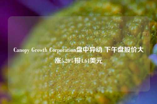 Canopy Growth Corporation盘中异动 下午盘股价大涨5.20%报4.64美元-第1张图片-贸易