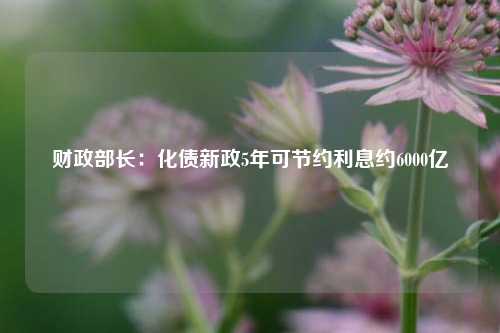 财政部长：化债新政5年可节约利息约6000亿-第1张图片-贸易