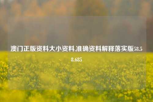 澳门正版资料大小资料,准确资料解释落实版58.58.685-第1张图片-贸易