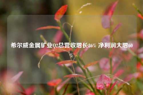 希尔威金属矿业Q2总营收增长26% 净利润大增60%-第1张图片-贸易