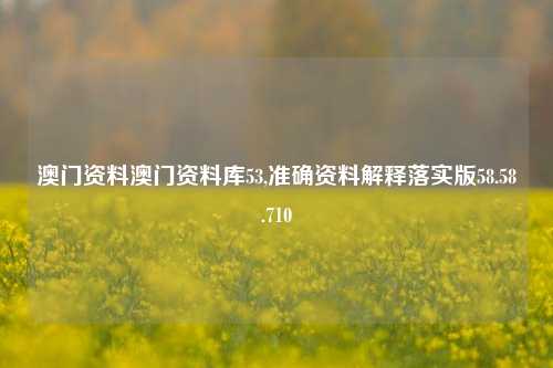 澳门资料澳门资料库53,准确资料解释落实版58.58.710-第1张图片-贸易