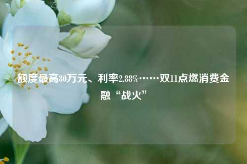 额度最高80万元、利率2.88%……双11点燃消费金融“战火”-第1张图片-贸易