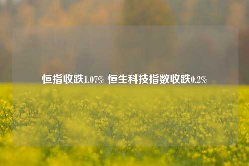 恒指收跌1.07% 恒生科技指数收跌0.2%-第1张图片-贸易