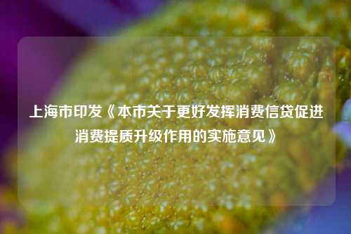 上海市印发《本市关于更好发挥消费信贷促进消费提质升级作用的实施意见》-第1张图片-贸易