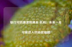 银行可转债表现佛系 机构：未来一年可能进入供给收缩期-第1张图片-贸易