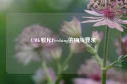 UMG驳斥Pershing的摘牌要求-第1张图片-贸易