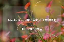 Columbia Financial盘中异动 下午盘快速上涨5.11%报19.22美元-第1张图片-贸易