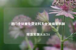 澳门金凤凰免费资料大全,准确资料解释落实版58.58.714-第1张图片-贸易