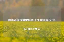 橡木谷银行盘中异动 下午盘大幅拉升5.06%报30.32美元-第1张图片-贸易