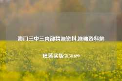 澳门三中三内部精准资料,准确资料解释落实版58.58.699-第1张图片-贸易