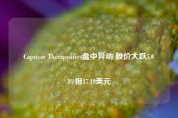 Capricor Therapeutics盘中异动 股价大跌5.03%报17.19美元-第1张图片-贸易