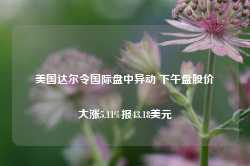 美国达尔令国际盘中异动 下午盘股价大涨5.11%报43.18美元-第1张图片-贸易