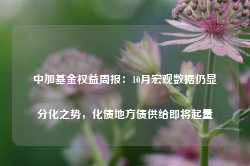 中加基金权益周报：10月宏观数据仍显分化之势，化债地方债供给即将起量-第1张图片-贸易